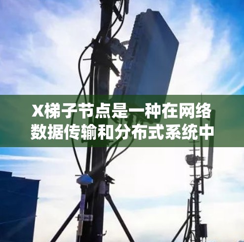 X梯子节点是一种在网络数据传输和分布式系统中使用的高性能节点，主要用于优化数据的分发和下载速度。以下是对X梯子节点的详细分析