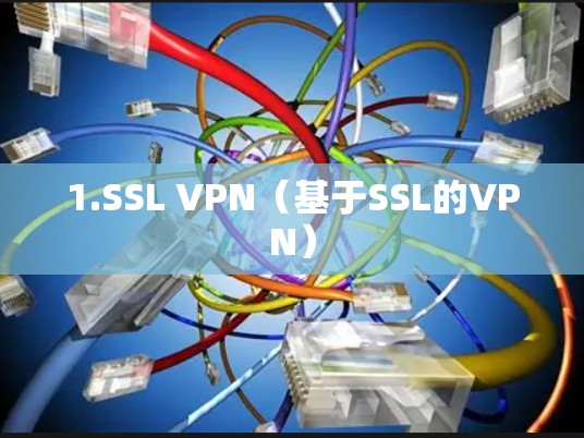 1.SSL VPN(基于SSL的VPN) 1.SSL VPN(基于SSL的VPN)