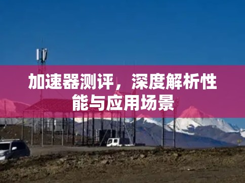 加速器测评，深度解析性能与应用场景