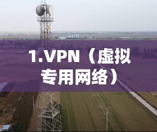1.VPN（虚拟专用网络）