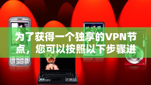 为了获得一个独享的VPN节点，您可以按照以下步骤进行操作