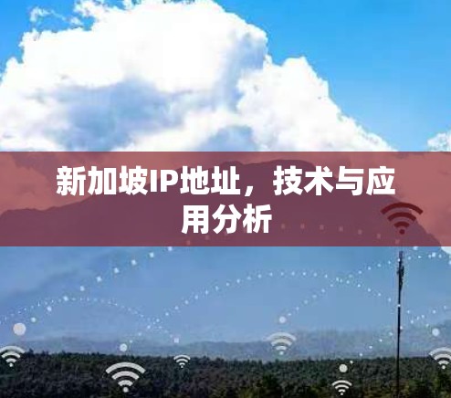 新加坡IP地址,技术与应用分析 新加坡IP地址,技术与应用分析