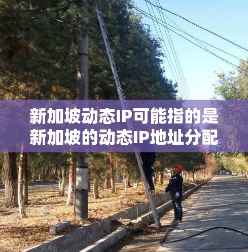 新加坡动态IP可能指的是新加坡的动态IP地址分配机制,或者是与新加坡相关的动态IP服务。以下是一些可能的解释和相关信息 新加坡动态IP可能指的是新加坡的动态IP地址分配机制,或者是与新加坡相关的动态IP服务。以下是一些可能的解释和相关信息