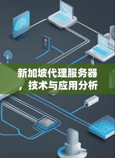 新加坡代理服务器，技术与应用分析