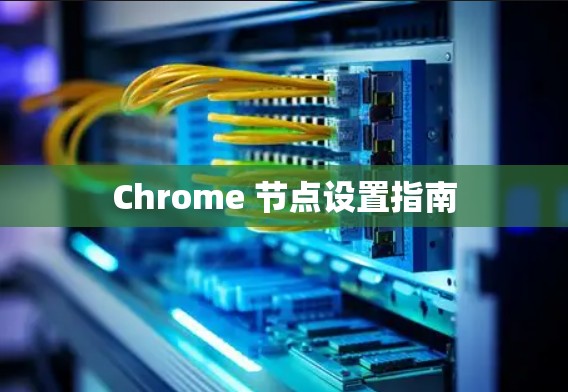 Chrome 节点设置指南