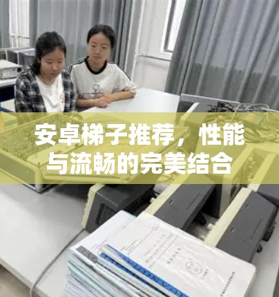 安卓梯子推荐，性能与流畅的完美结合