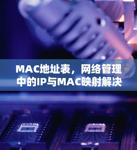 MAC地址表，网络管理中的IP与MAC映射解决方案