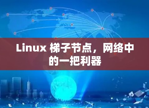 Linux 梯子节点，网络中的一把利器