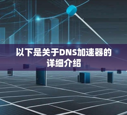 以下是关于DNS加速器的详细介绍 以下是关于DNS加速器的详细介绍