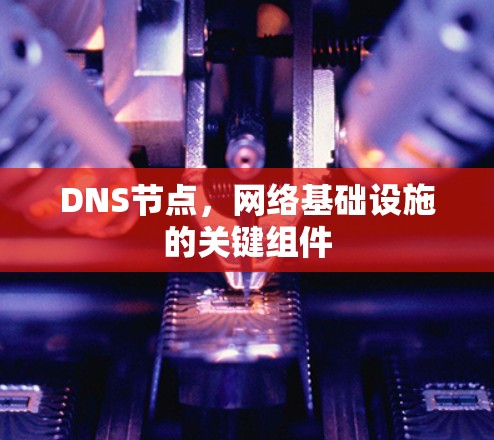 DNS节点，网络基础设施的关键组件