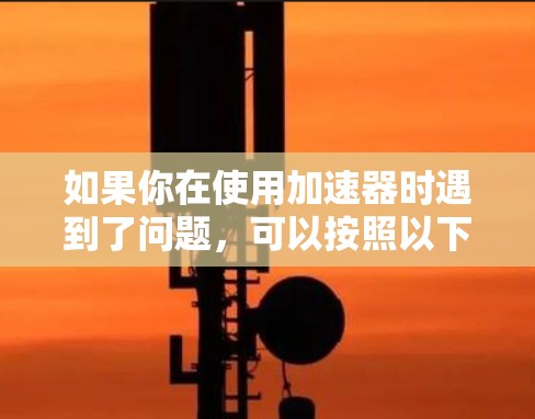如果你在使用加速器时遇到了问题，可以按照以下步骤进行解决