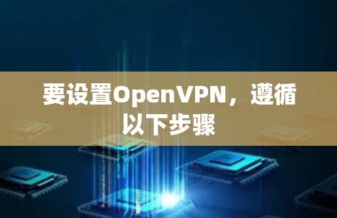 要设置OpenVPN，遵循以下步骤