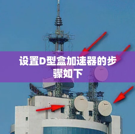 设置D型盒加速器的步骤如下