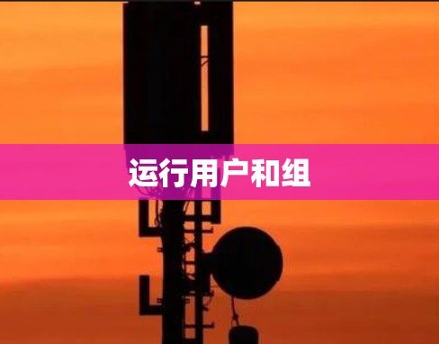 运行用户和组