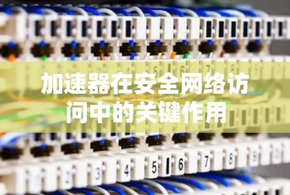 加速器在安全网络访问中的关键作用
