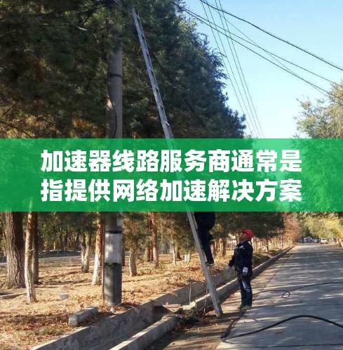 加速器线路服务商通常是指提供网络加速解决方案的公司，这些公司可以帮助优化数据中心和云计算环境中的网络性能，提高带宽和减少延迟。以下是一些主要的加速器线路服务商