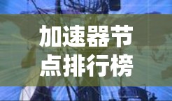 加速器节点排行榜通常是根据节点的性能、稳定性、可靠性等多个指标进行排序的。排名的具体依据可能因应用场景、需求和评估标准的不同而有所差异。以下是一些常见的评估指标和可能的排名因素
