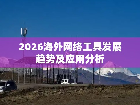 2026海外网络工具发展趋势及应用分析