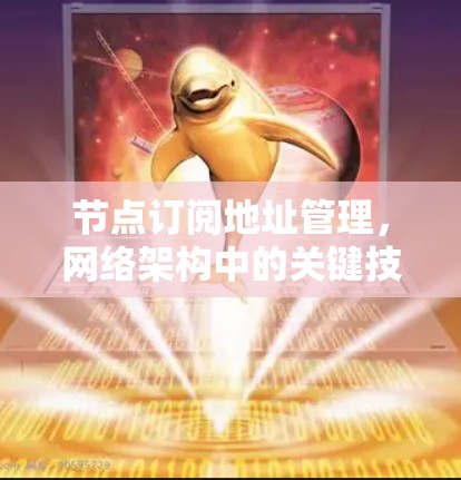 节点订阅地址管理，网络架构中的关键技术