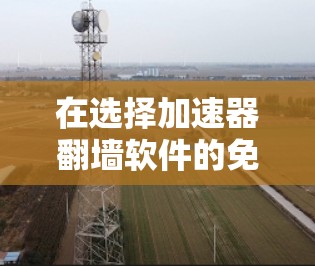 在选择加速器翻墙软件的免费版时,以下是对常见工具的总结和建议 在选择加速器翻墙软件的免费版时,以下是对常见工具的总结和建议
