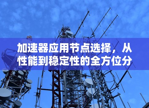 加速器应用节点选择，从性能到稳定性的全方位分析