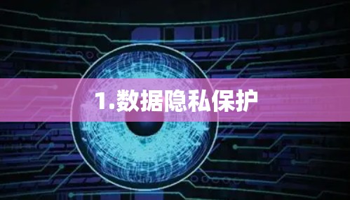 1.数据隐私保护