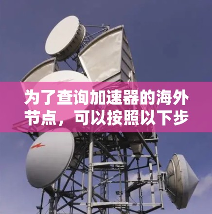 为了查询加速器的海外节点，可以按照以下步骤进行
