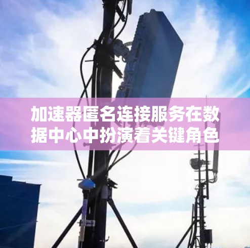 加速器匿名连接服务在数据中心中扮演着关键角色，通过提供安全、隐私的网络访问，同时简化管理。以下是对加速器匿名连接服务的详细分析和总结