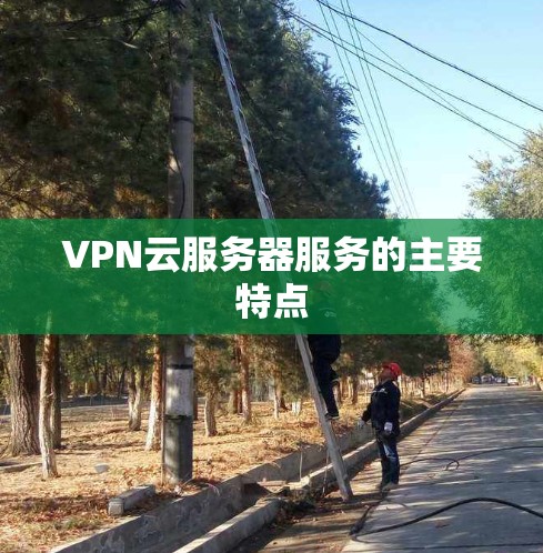 VPN云服务器服务的主要特点