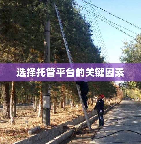 选择托管平台的关键因素