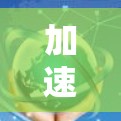 加速器网络加速技术排名,2023年市场分析 加速器网络加速技术排名,2023年市场分析