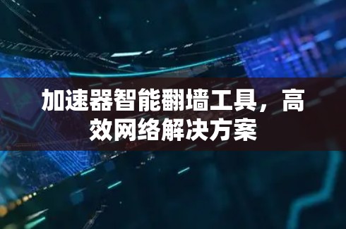 加速器智能翻墙工具，高效网络解决方案