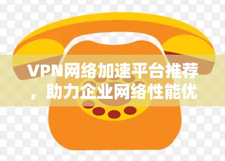 VPN网络加速平台推荐，助力企业网络性能优化