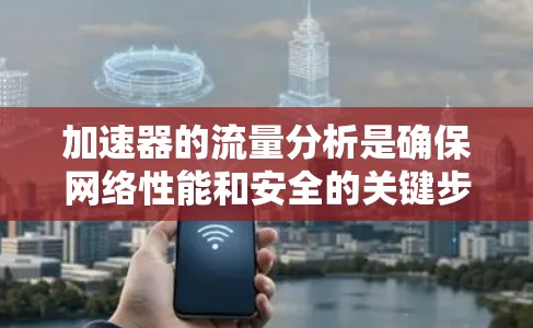 加速器的流量分析是确保网络性能和安全的关键步骤。以下是对加速器流量分析的详细总结