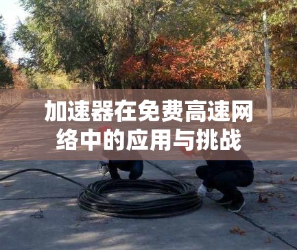 加速器在免费高速网络中的应用与挑战