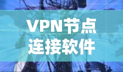 VPN节点连接软件配置与应用指南