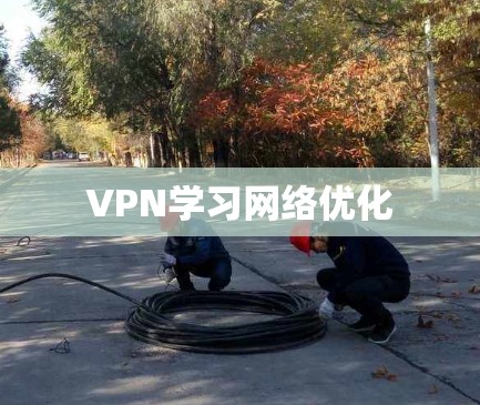 VPN学习网络优化 VPN学习网络优化